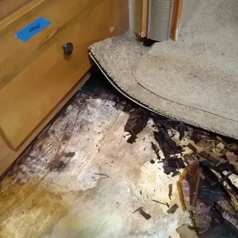 Best Wood Floor Water Damage Service in Texarkana, AR